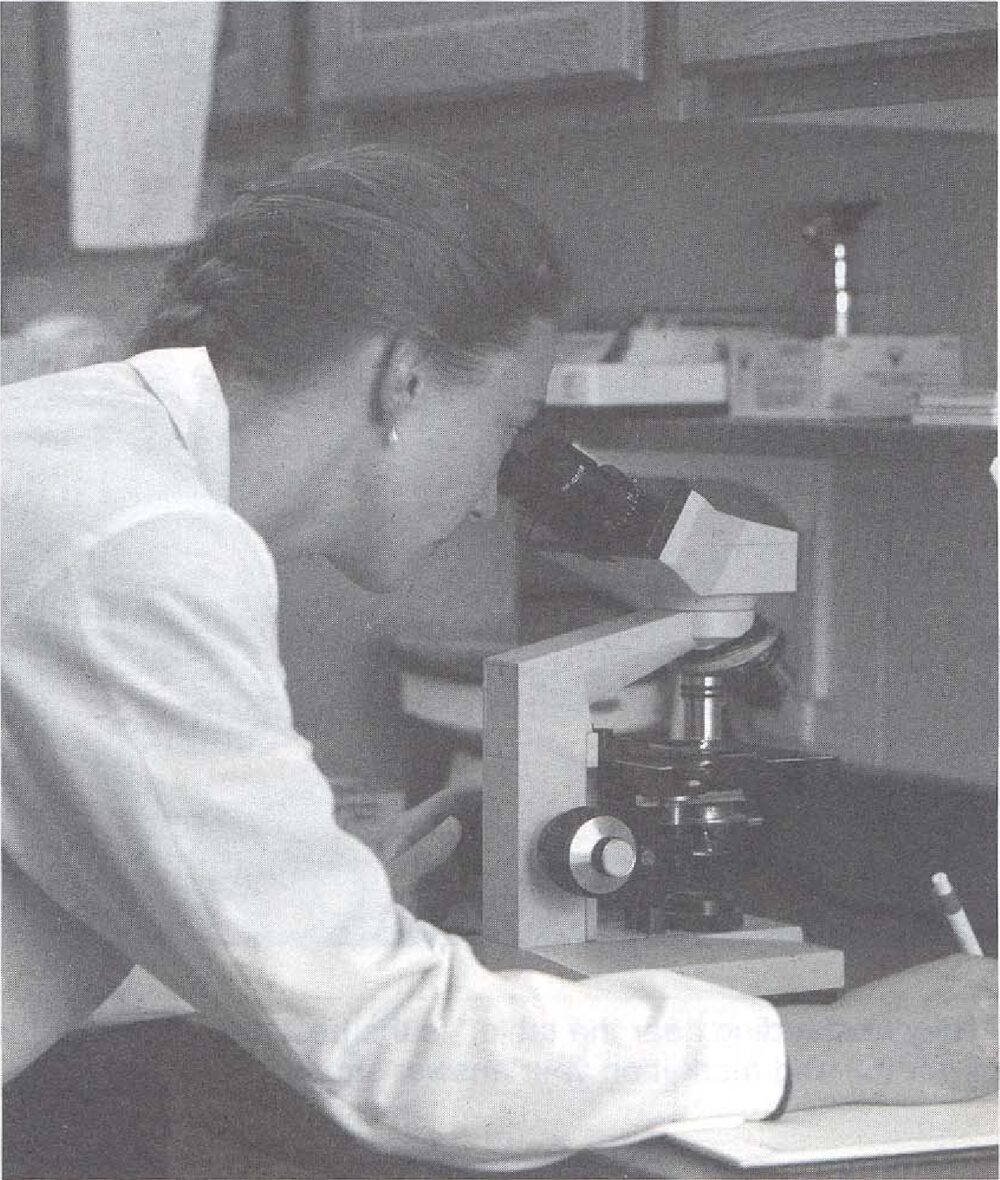 Photograph for question 2